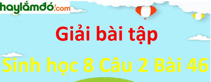 So sánh cấu tạo và chức năng của trụ não với tủy sống để hoàn chỉnh bảng 46