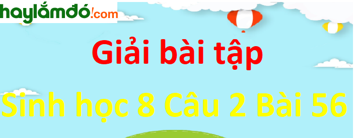 Lập bảng tổng kết vai trò của các tuyến nội tiết đã học theo mẫu (Bảng 56-2. Vai trò của các tuyến nội tiết)