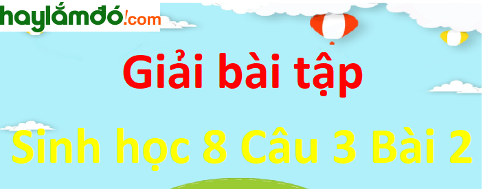 Quan sát hình 2-3, hãy cho biết các mũi tên từ hệ thần kinh và các hệ nội tiết tới các hệ cơ quan nói lên điều gì