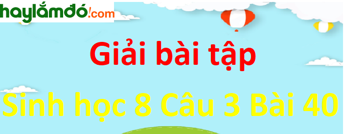 Trong các thói quen sống khoa học để bảo vệ hệ bài tiết nước tiểu, em đã có thói quen nào và chưa có thói quen