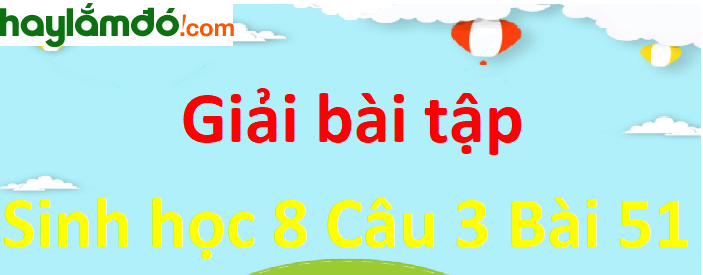 Hãy trình bày cấu tạo của ôc stai dựa vào hình 51-2.