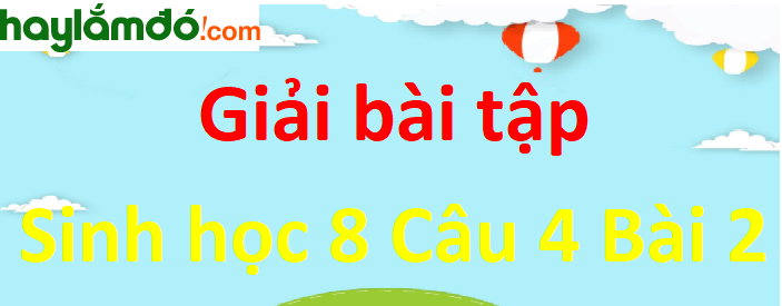 Cơ thể người gồm mấy phần, là những phần nào? Phần thân chứa những cơ quan nào?