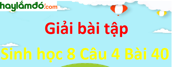 Thử đề ra kế hoạch hình thành thói quen sống khoa học nếu em chưa có.