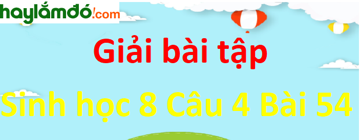 Nêu rõ ý nghĩa sinh học của giấc ngủ. Muốn đảm bảo giấc ngủ tốt cần những điều kiện gì? 