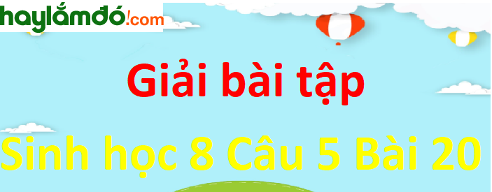 Hãy giải thích câu nói: chỉ cần ngừng thở 3-5 phút thì máu qua phổi sẽ chẳng có O2 để mà nhận