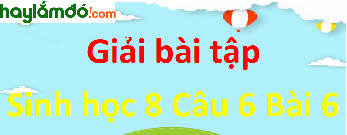 Phản xạ là gì? Hãy lấy vài ví dụ về phản xạ