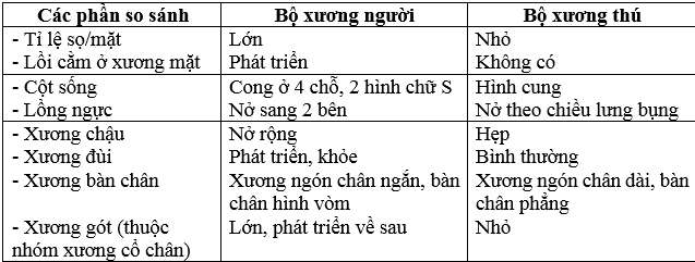 Giải bài tập Sinh học lớp 8 hay, ngắn nhất