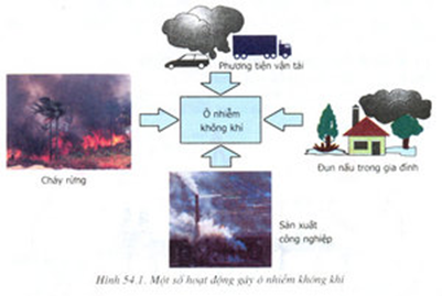 Lý thuyết Sinh học 9 Bài 54: Ô nhiễm môi trường hay, ngắn gọn