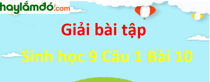 Trả lời câu hỏi Sinh 9 Bài 10 trang 32 ngắn nhất