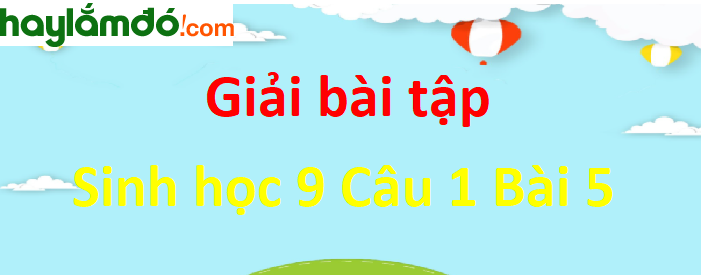 Trả lời câu hỏi Sinh 9 Bài 5 trang 17 ngắn nhất