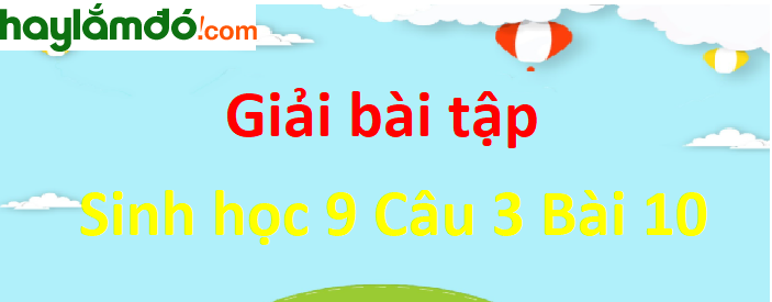 Câu 2 trang 33 Sinh học 9 ngắn nhất