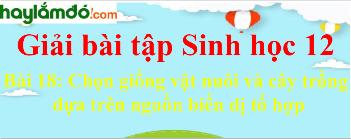 Sinh học 12 Bài 18: Chọn giống vật nuôi và cây trồng dựa trên nguồn biến dị tổ hợp | Giải Sinh 12 ngắn nhất