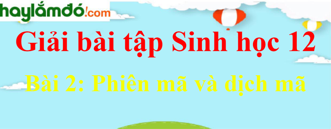 Sinh học 12 Bài 2: Phiên mã và dịch mã | Giải Sinh 12 ngắn nhất