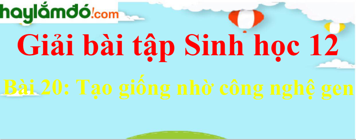 Sinh học 12 Bài 20: Tạo giống nhờ công nghệ gen | Giải Sinh 12 ngắn nhất