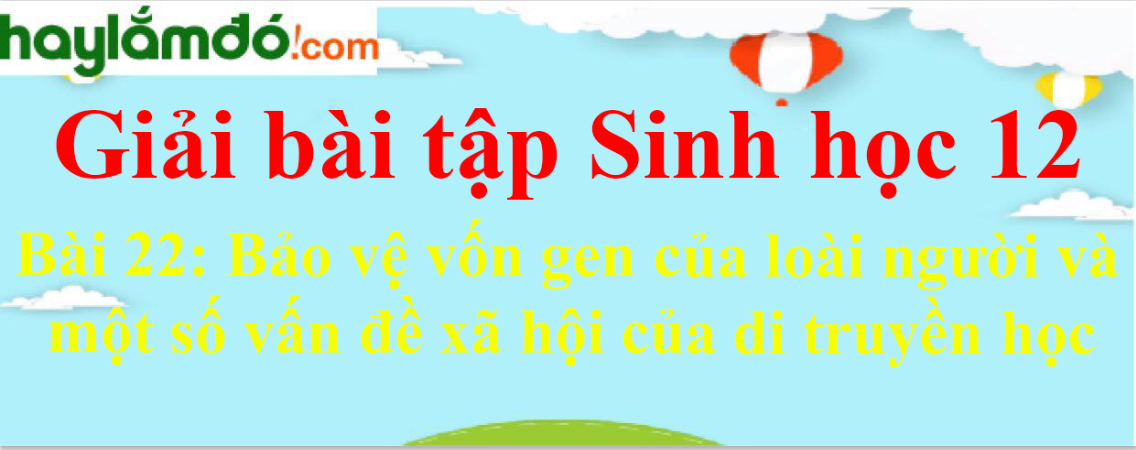 Sinh học 12 Bài 22: Bảo vệ vốn gen của loài người và một số vấn đề xã hội của di truyền học | Giải Sinh 12 ngắn nhất