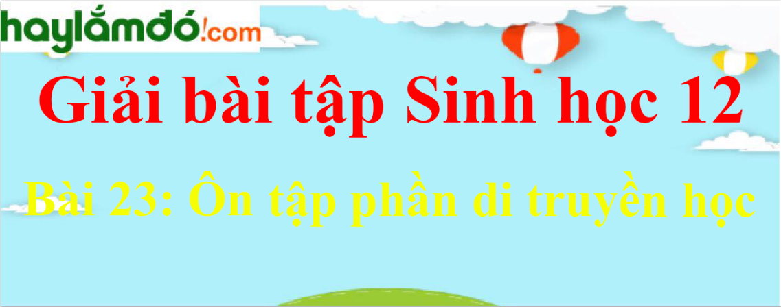 Sinh học 12 Bài 23: Ôn tập phần di truyền học | Giải Sinh 12 ngắn nhất