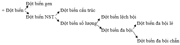 Giải bài 3 trang 102 sgk Sinh 12 | Để học tốt Sinh 12