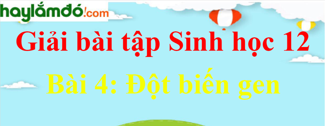 Sinh học 12 Bài 4: Đột biến gen | Giải Sinh 12 ngắn nhất