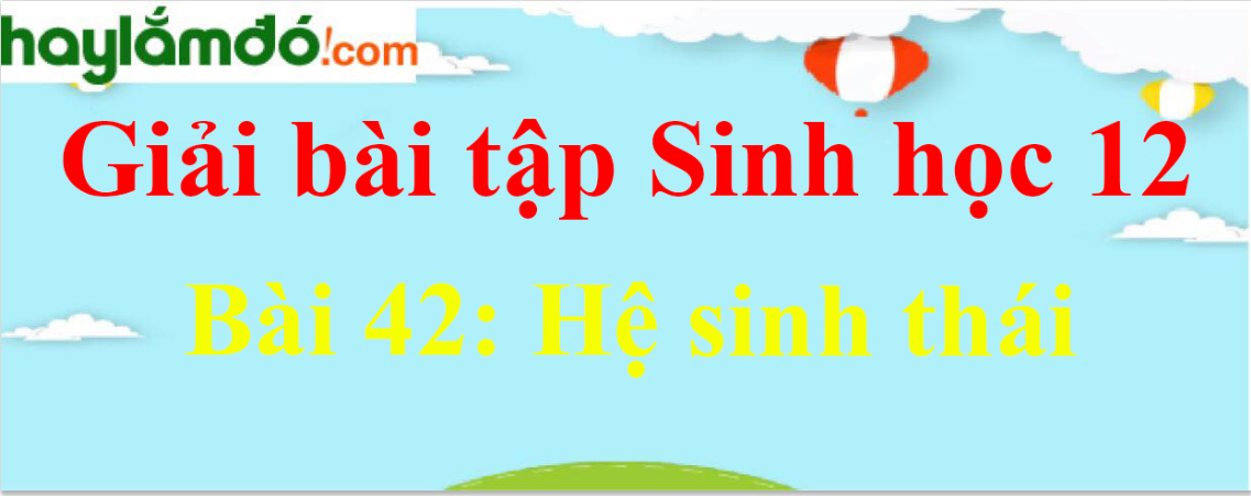 Sinh học 12 Bài 42: Hệ sinh thái | Giải Sinh 12 ngắn nhất