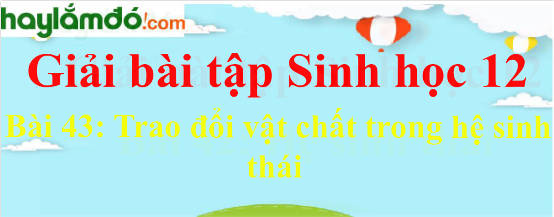 Sinh học 12 Bài 43: Trao đổi vật chất trong hệ sinh thái | Giải Sinh 12 ngắn nhất