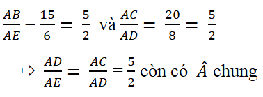 Giải Toán 8 | Để học tốt Toán 8