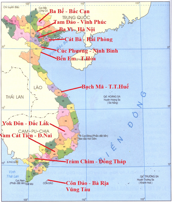 Biểu đồ hành chính Việt Nam: Tìm hiểu về cấu trúc chính trị và hành chính của Viet Nam. Những bức tranh sống động sẽ giúp bạn hiểu rõ hơn về các vùng lãnh thổ, thành phố và quận huyện trên khắp Việt Nam. Hãy đến với chúng tôi để khám phá sự phong phú và đa dạng của hệ thống hành chính Việt Nam.