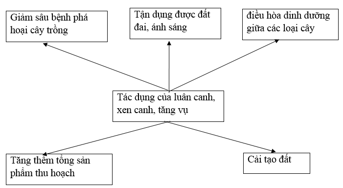  Bài 1 trang 29 Sách bài tập Công nghệ lớp 7 | Giải sách bài tập Công nghệ lớp 7