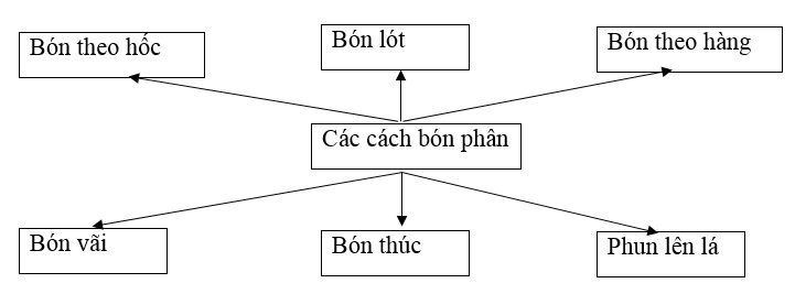  Bài 2 trang 16 Sách bài tập Công nghệ lớp 7 | Giải sách bài tập Công nghệ lớp 7