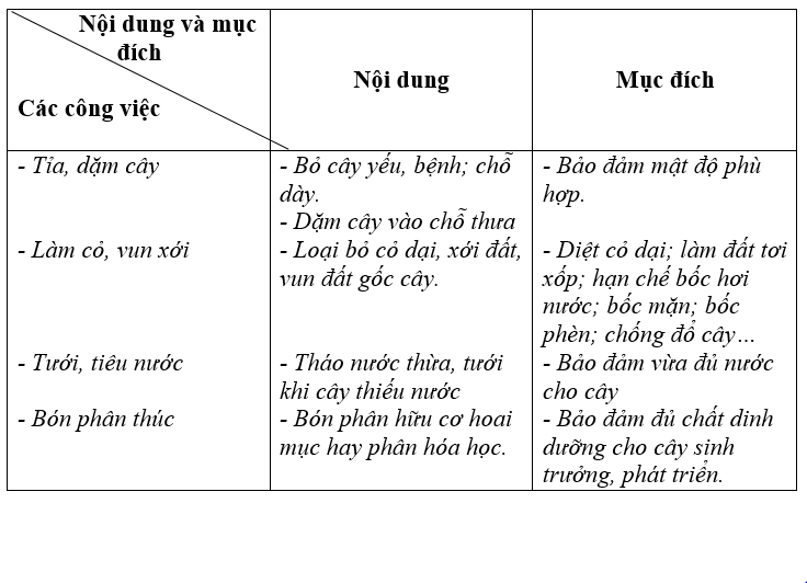  Bài 2 trang 28 Sách bài tập Công nghệ lớp 7 | Giải sách bài tập Công nghệ lớp 7