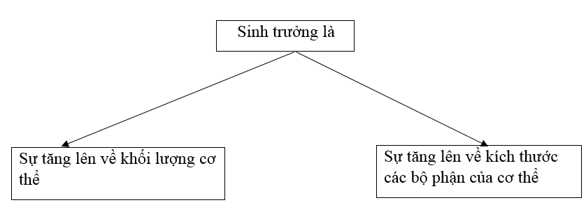  Bài 2 trang 47 Sách bài tập Công nghệ lớp 7 | Giải sách bài tập Công nghệ lớp 7