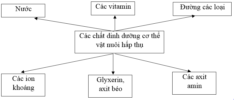  Bài 2 trang 51 Sách bài tập Công nghệ lớp 7 | Giải sách bài tập Công nghệ lớp 7