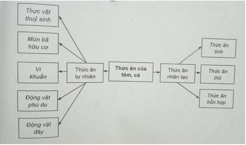  Bài 2 trang 66 Sách bài tập Công nghệ lớp 7 | Giải sách bài tập Công nghệ lớp 7