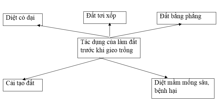  Bài 3 trang 25 Sách bài tập Công nghệ lớp 7 | Giải sách bài tập Công nghệ lớp 7