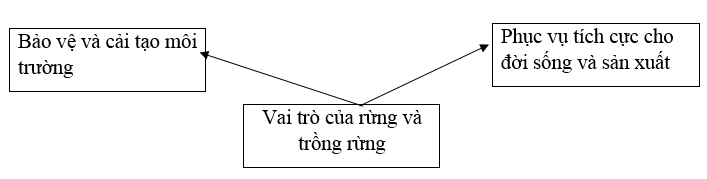  Bài 4 trang 33 Sách bài tập Công nghệ lớp 7 | Giải sách bài tập Công nghệ lớp 7