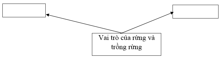  Bài 4 trang 33 Sách bài tập Công nghệ lớp 7 | Giải sách bài tập Công nghệ lớp 7