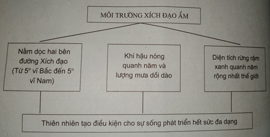 Giải sách bài tập Địa Lí 7 | Giải sbt Địa Lí 7