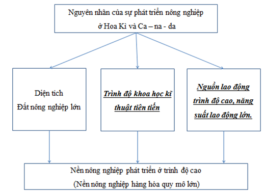 Giải sách bài tập Địa Lí 7 | Giải sbt Địa Lí 7