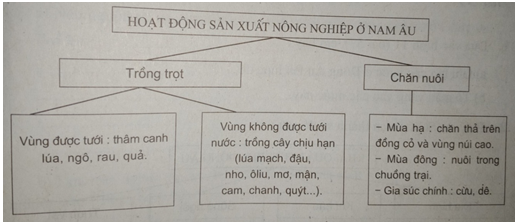 Giải sách bài tập Địa Lí 7 | Giải sbt Địa Lí 7