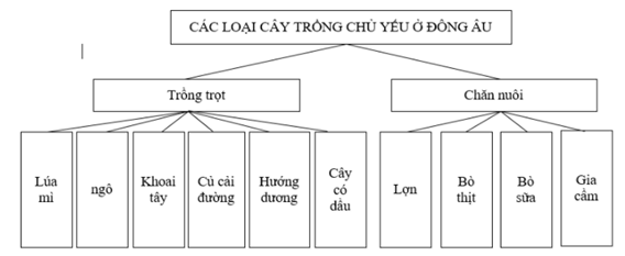 Giải sách bài tập Địa Lí 7 | Giải sbt Địa Lí 7