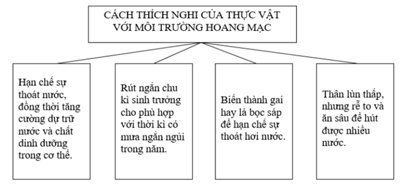 Giải sách bài tập Địa Lí 7 | Giải sbt Địa Lí 7