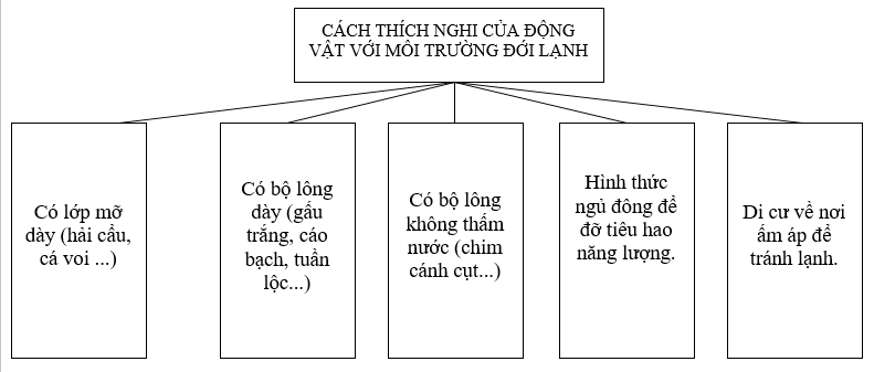 Giải sách bài tập Địa Lí 7 | Giải sbt Địa Lí 7