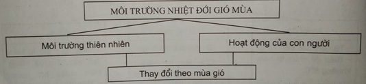 Giải sách bài tập Địa Lí 7 | Giải sbt Địa Lí 7