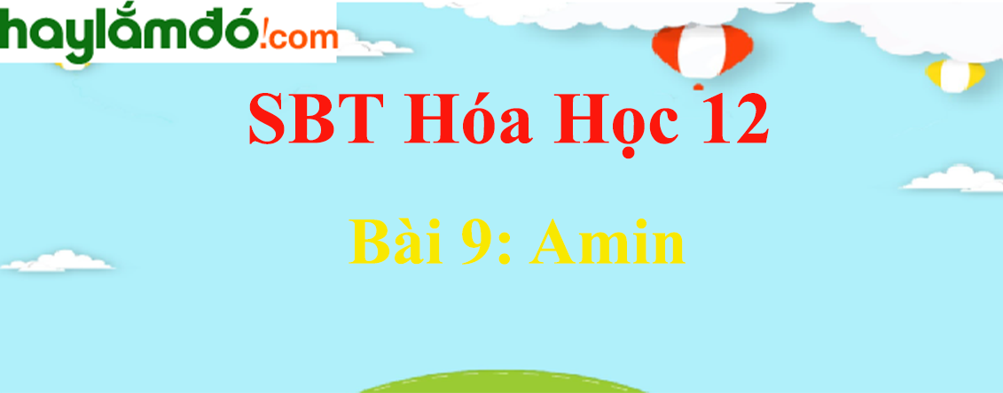 SBT Hóa học 12 Bài 9: Amin