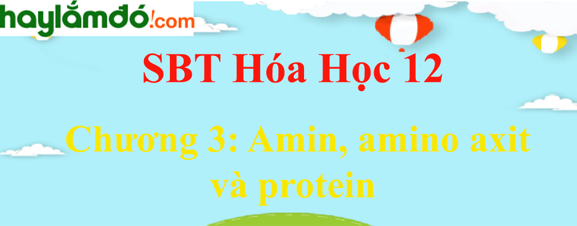 SBT Hóa học 12 Chương 3: Amin, amino axit và protein