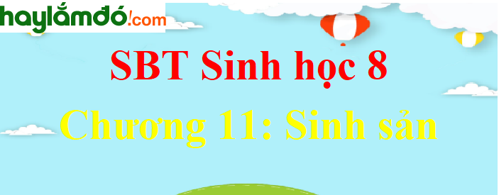 Giải SBT Sinh học lớp 8 Chương 11: Sinh sản