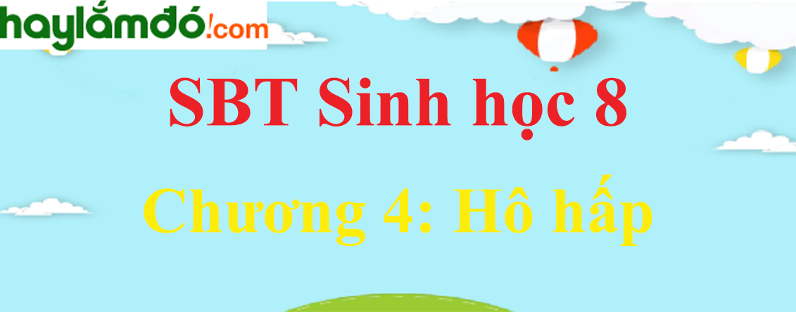 Giải SBT Sinh học lớp 8 Chương 4: Hô hấp