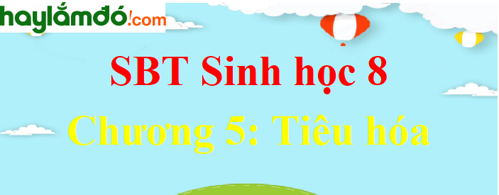 Giải SBT Sinh học lớp 8 Chương 5: Tiêu hóa