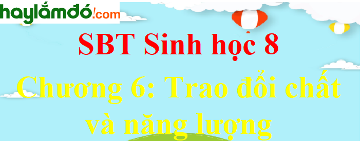 Giải SBT Sinh học lớp 8 Chương 6: Trao đổi chất và năng lượng