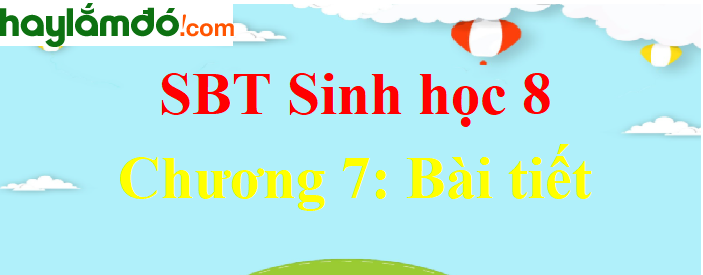 Giải SBT Sinh học lớp 8 Chương 7: Bài tiết