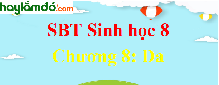 Giải SBT Sinh học lớp 8 Chương 8: Da